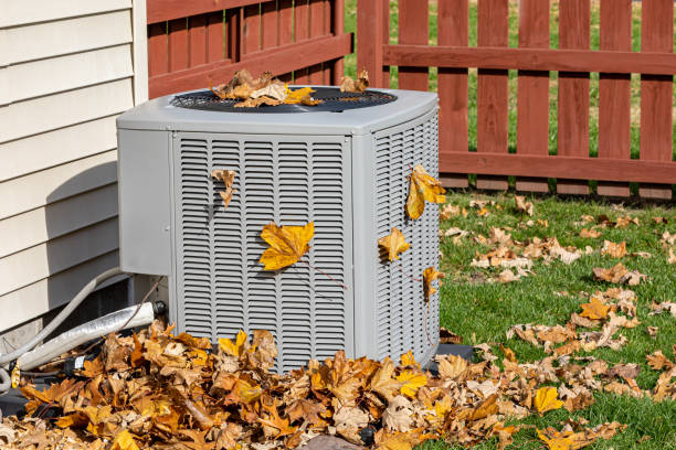 Best Residential HVAC Services  in Madison, MN