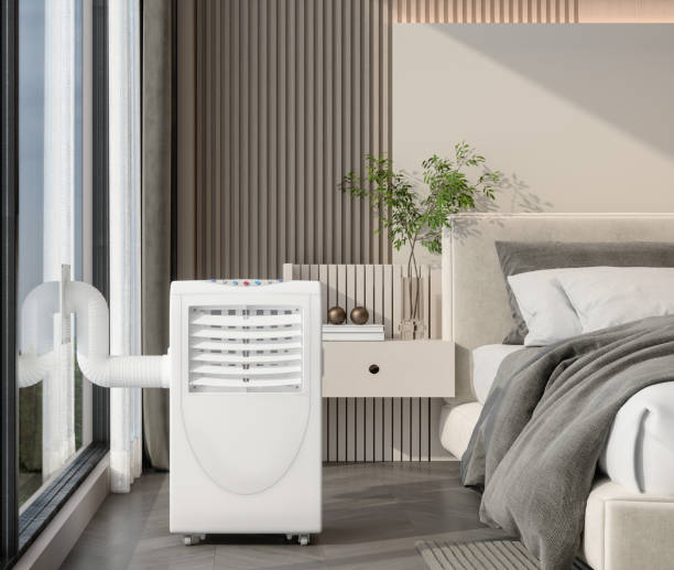 Best Ductless HVAC Repair  in Madison, MN