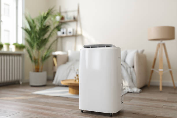 Best HVAC Air Duct Cleaning  in Madison, MN